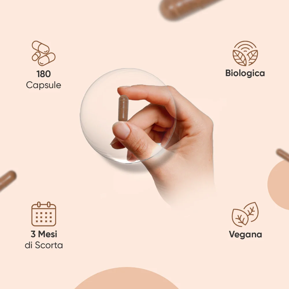Cannella Organica in Capsule - Image 3