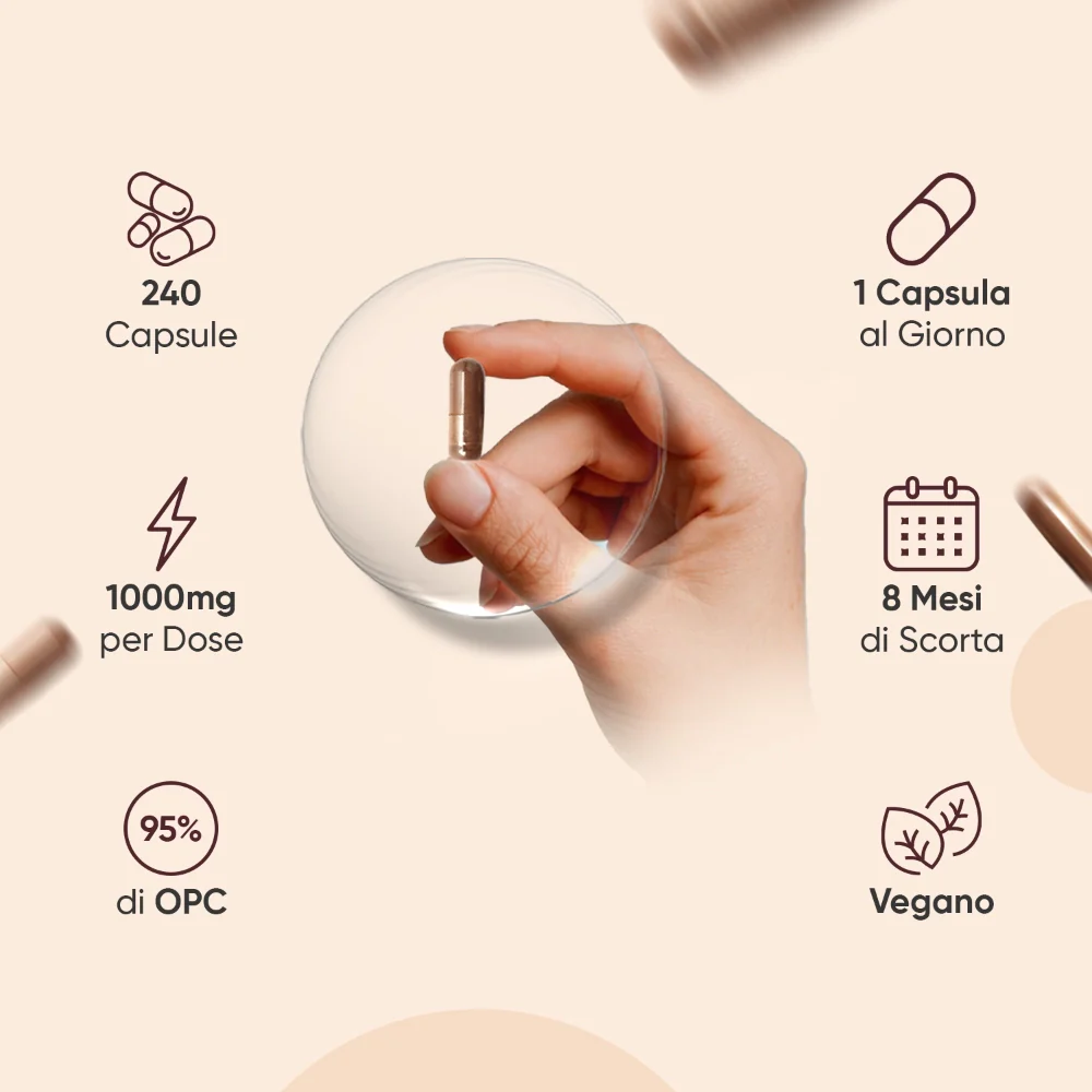 Capsule di OPC da Estratto di Uva Francese - Image 3