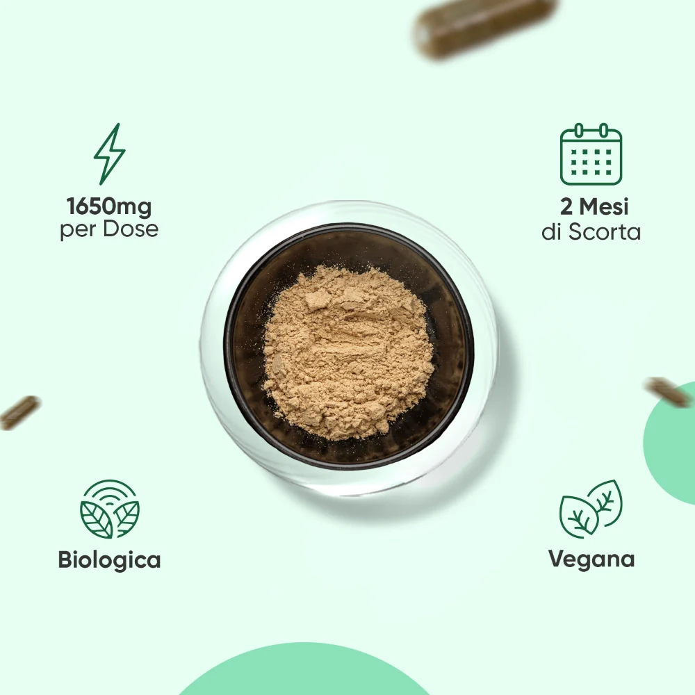 Capsule Moringa Bio - Image 3