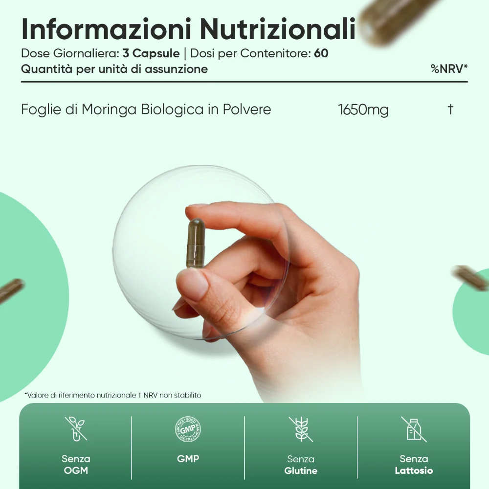 Capsule Moringa Bio - Image 5