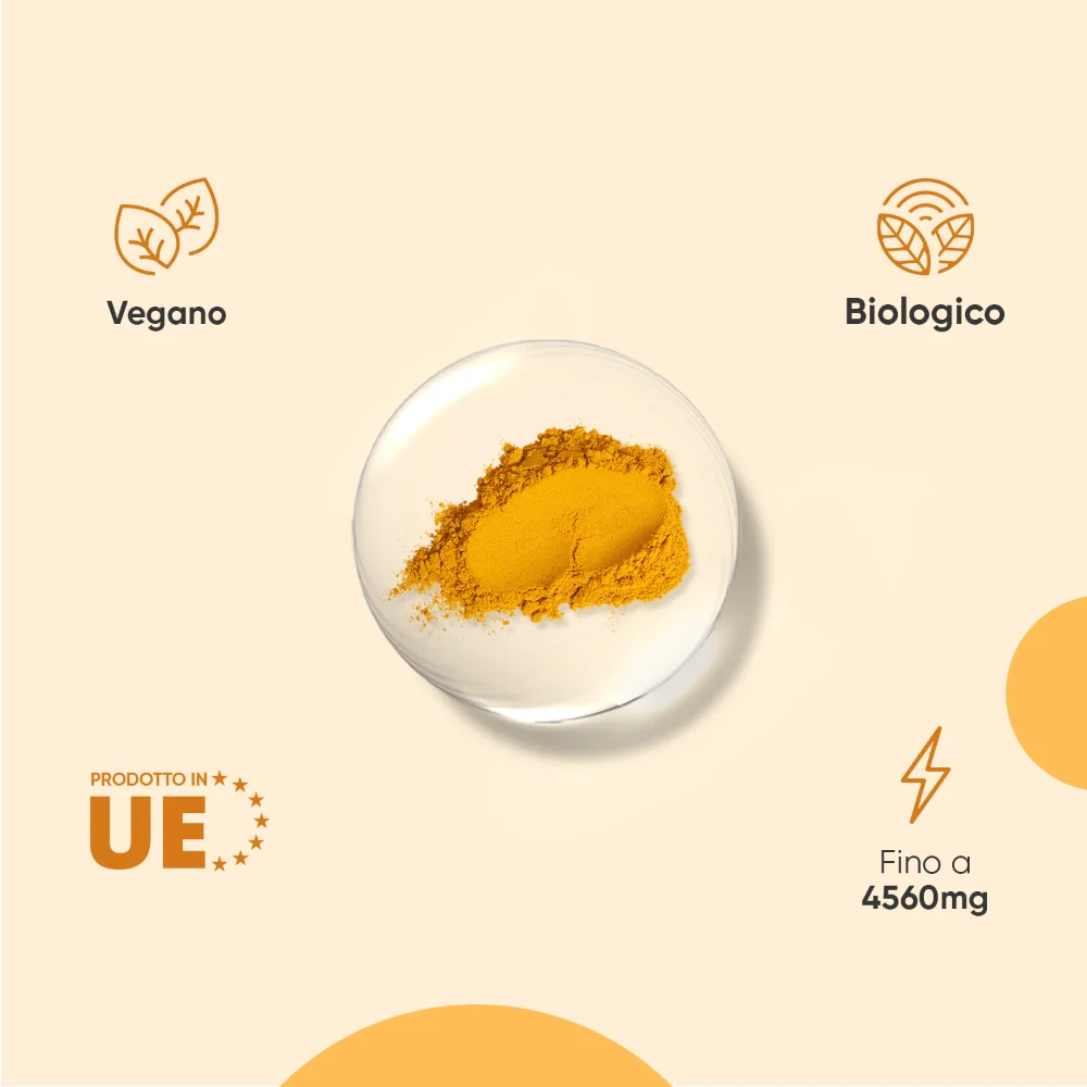 Curcuma Biologica - Image 3