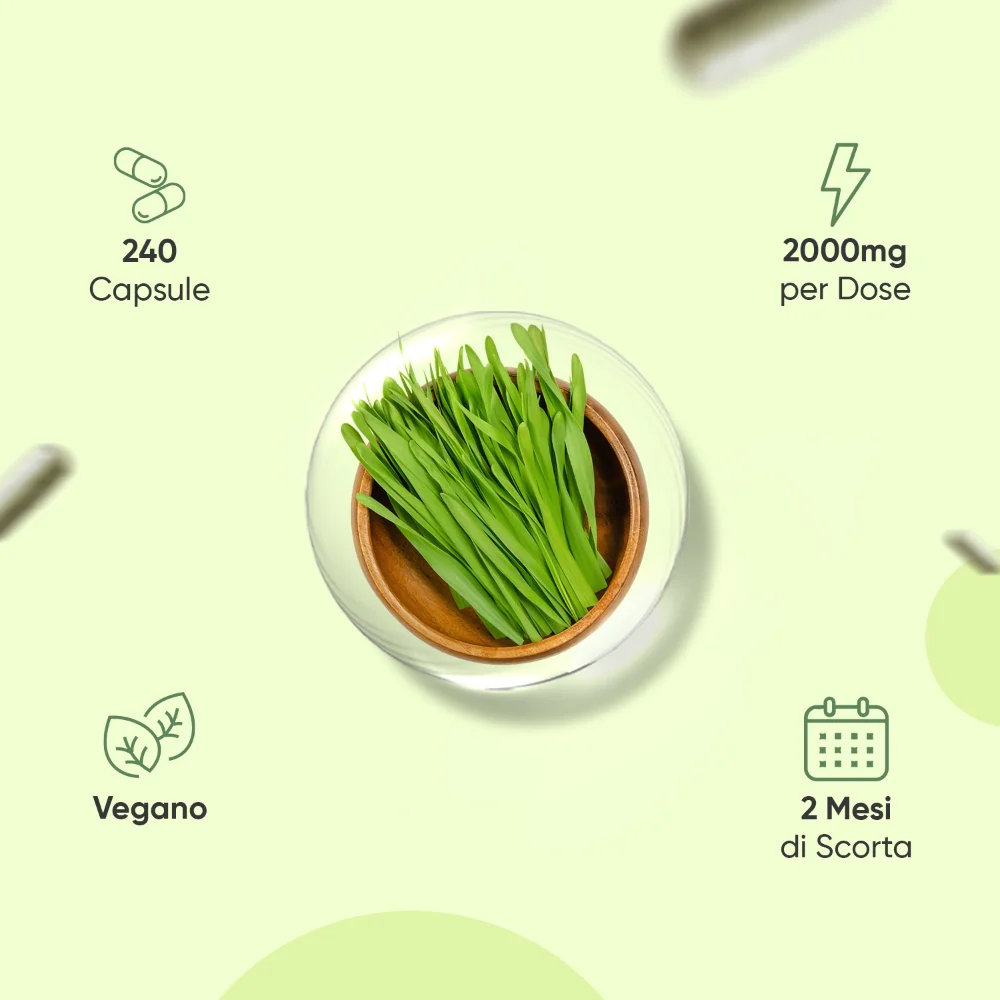 Erba d'Orzo Biologica WeightWorld - Image 3