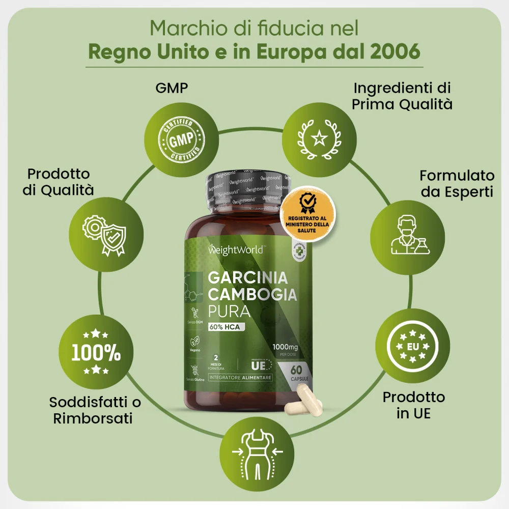 Garcinia Cambogia Pura - Image 3