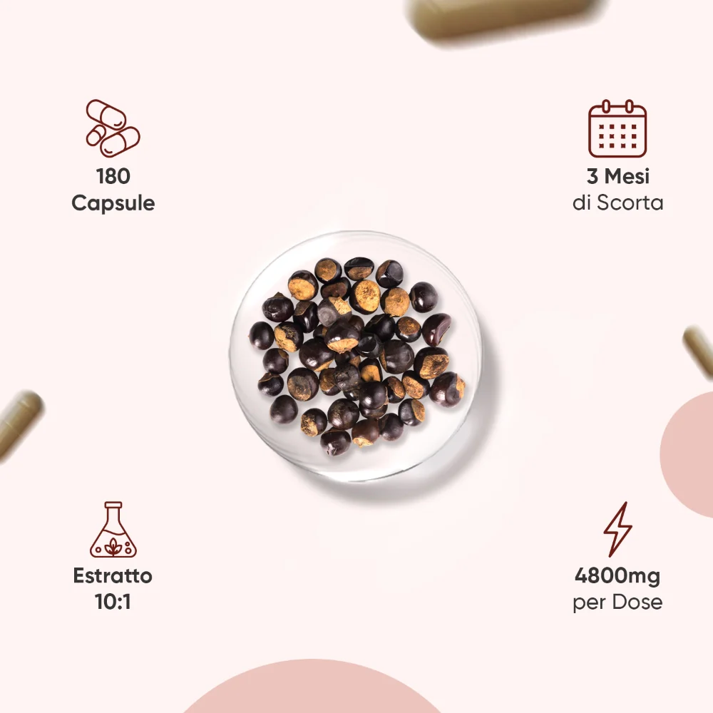 Guaranà Puro in Capsule - Image 3