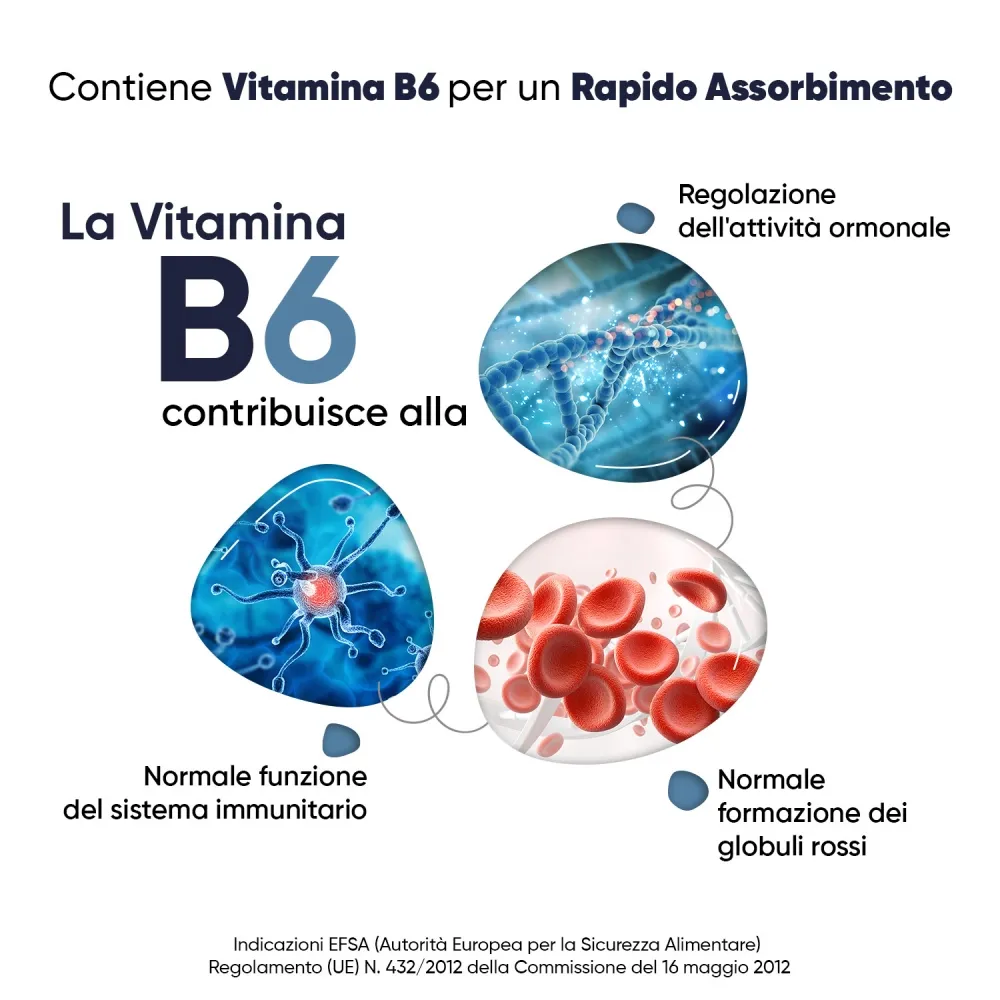Magnesio Marino Puro + Vitamina B6 360mg - Image 3