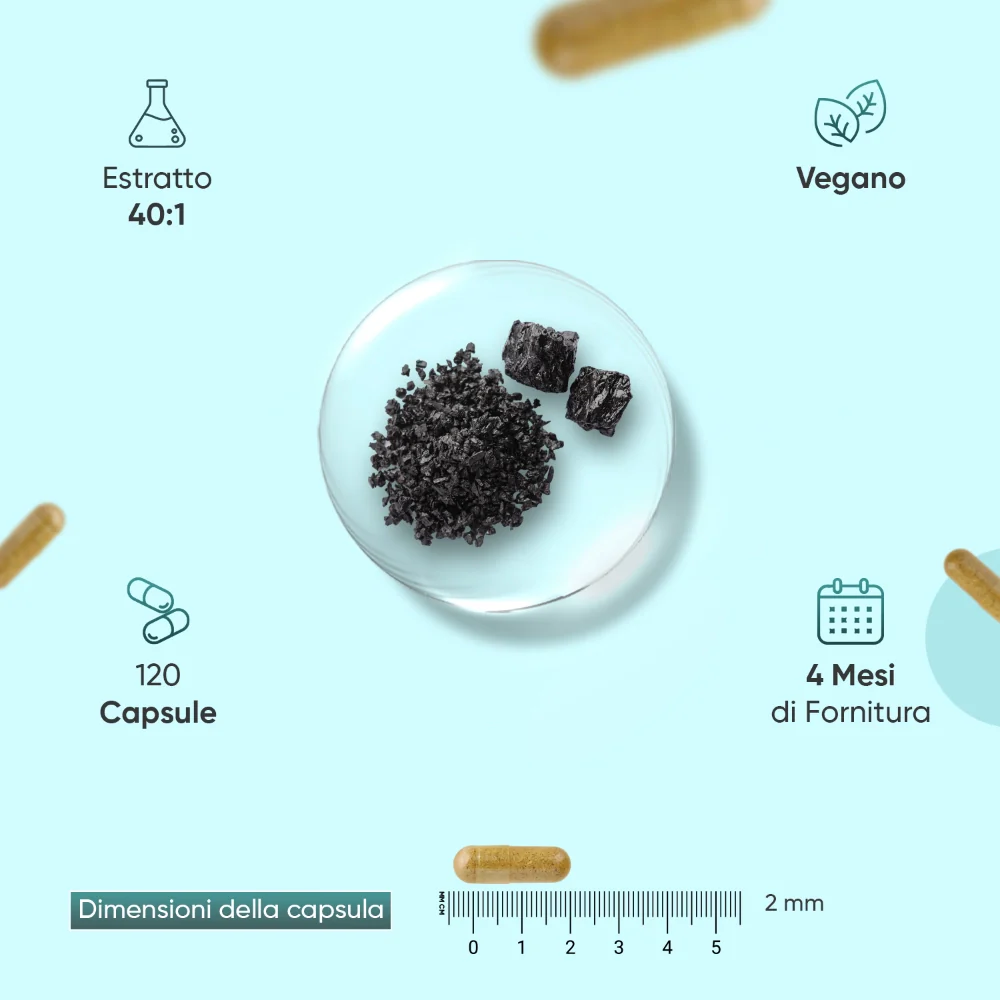 Shilajit Complex Capsule - Image 4