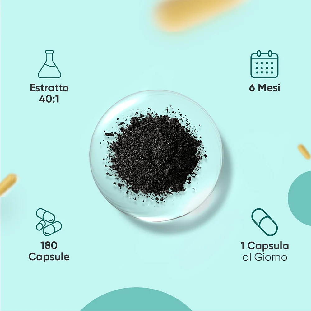 Shilajit Puro Himalayano in Capsule - Image 3