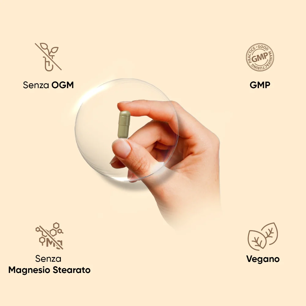 WeightWorld Ashwagandha KSM-66 500 mg - Image 4