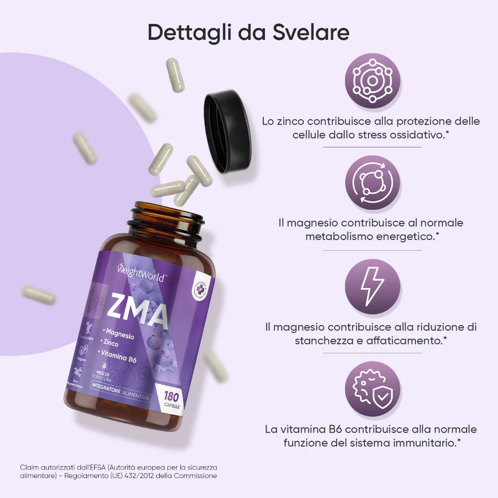 ZMA in Capsule - Image 3